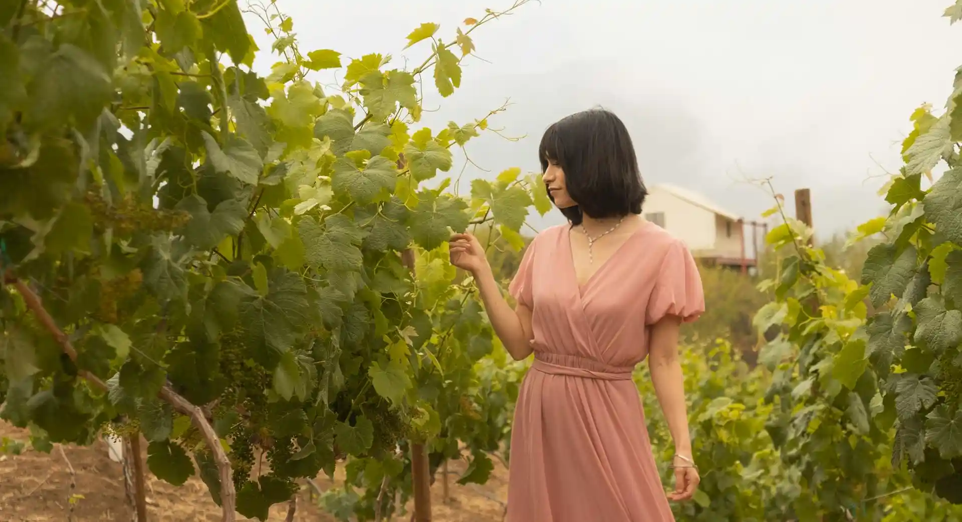 Shinrin yoku Visita sensorial al viñedo Zamora BANOS DE BOSQUE